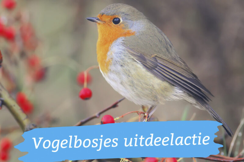 uitdeelactie-vogelbosjes
