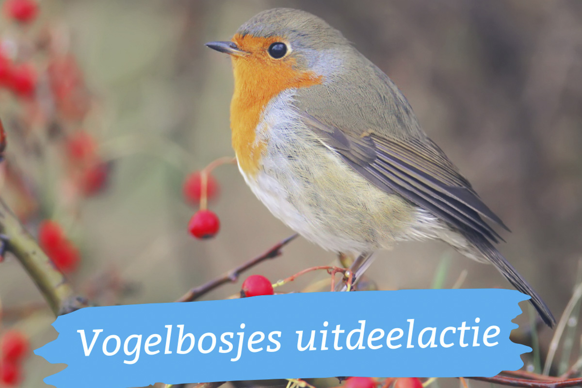 uitdeelactie-vogelbosjes